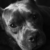 IMG_3302