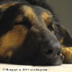 IMG_1280