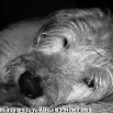 IMG_5342