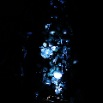 x_mass_tree