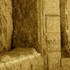 IMG_7568_2