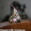 food_candy
