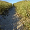 dune_road