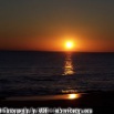 sunset_vinyard