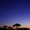 night