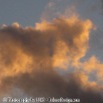 IMG_0560