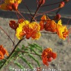 CIMG0909