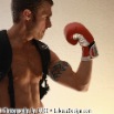 boxer