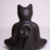 cat_back