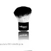 Brushes-kabuki_w